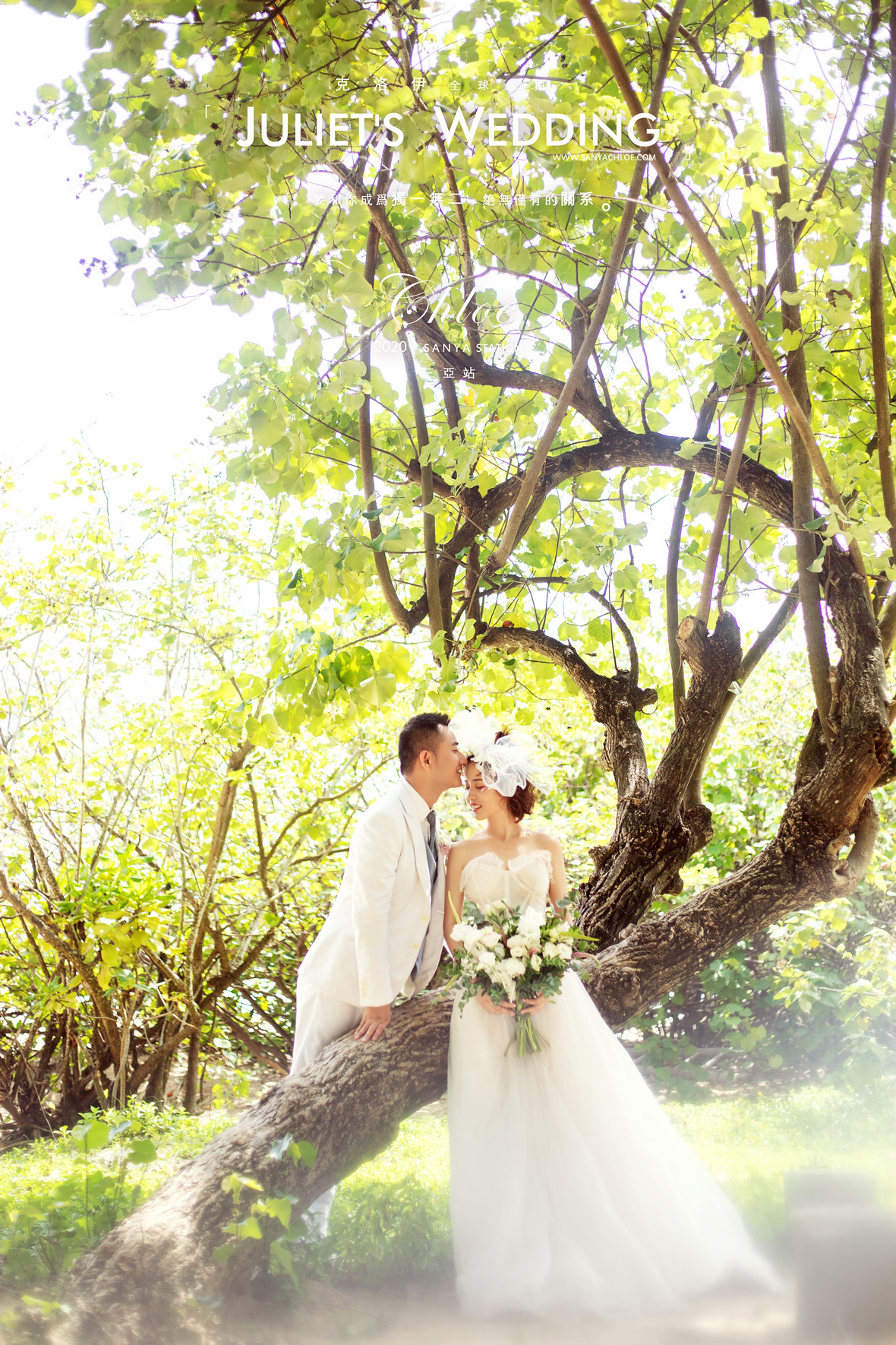 20年7月12日全球合輯