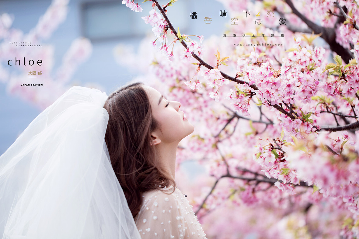 霓虹國的春，可以這么拍婚紗照