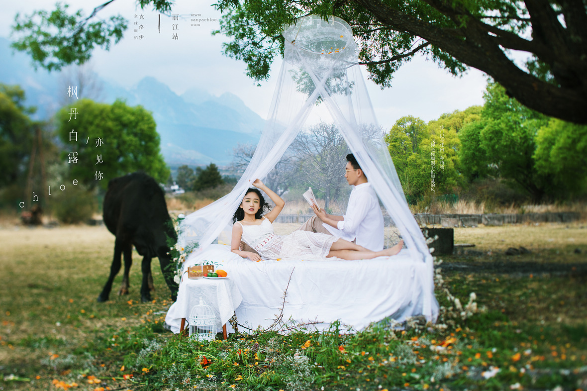 「煮茶賞花 擁抱自然」的婚紗照，才是真正的詩和遠(yuǎn)方