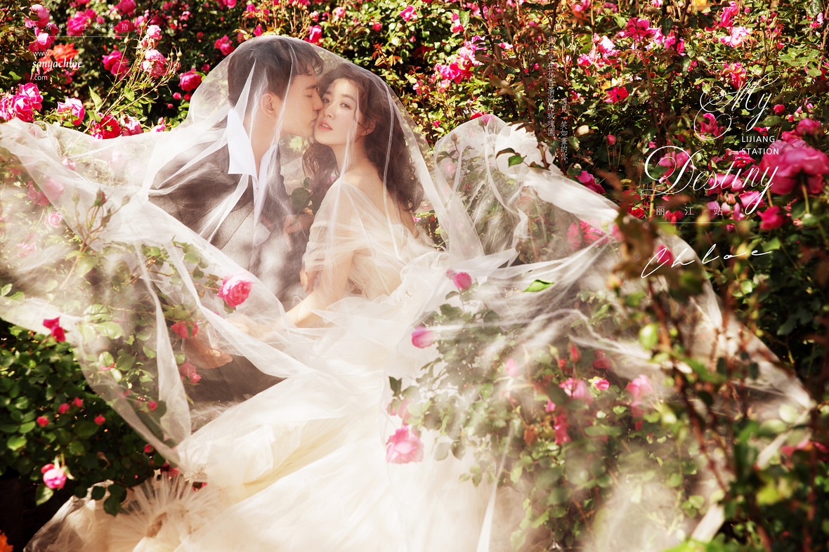 【揭秘克洛伊美學(xué)】八十期 麗江季節(jié)性花海浪漫婚紗照